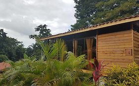 Hotel Heliconias Nature Inn & Hot Springs